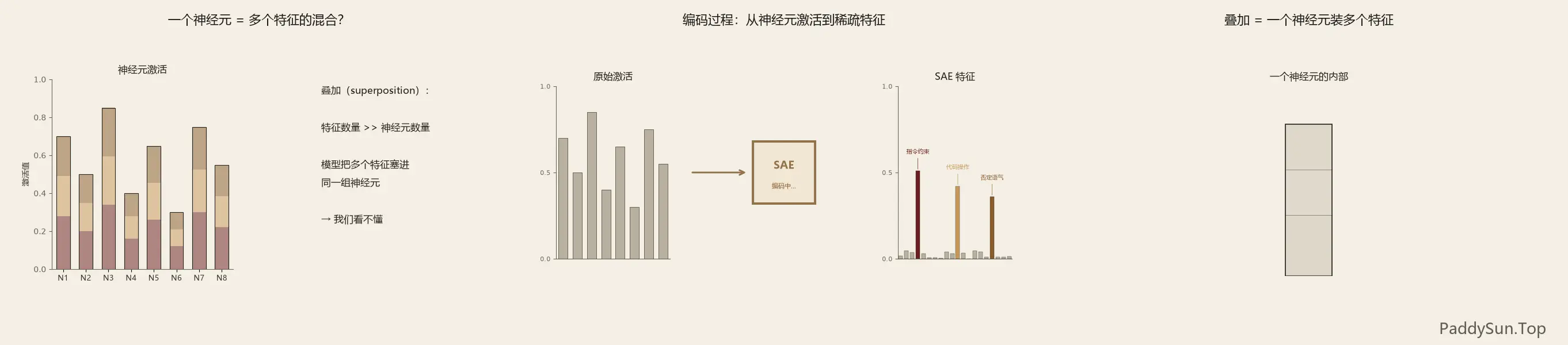 SAE 分解三阶段：稠密激活 → 过完备字典 → 稀疏特征